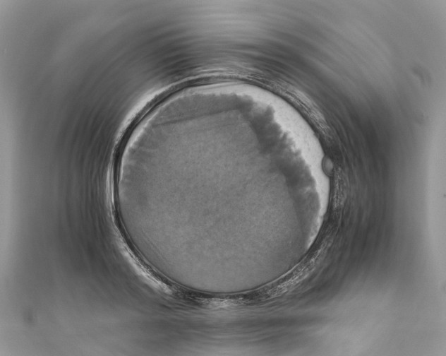 X0000110990796200907171751