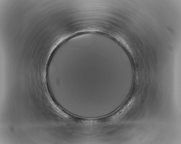 X0000110990797200907171751