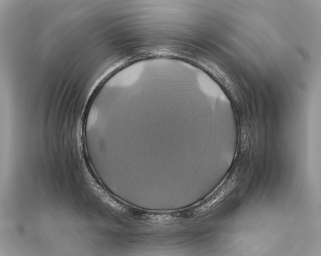 X0000110990798200907171751