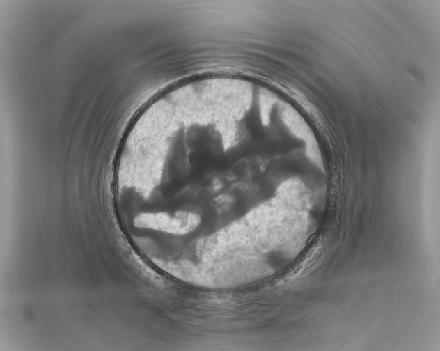 X0000110990799200907171751