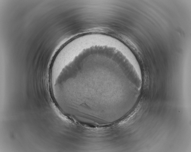 X0000110990800200907171751