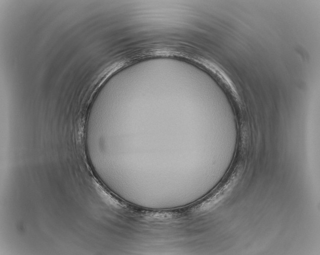 X0000110990801200907171751