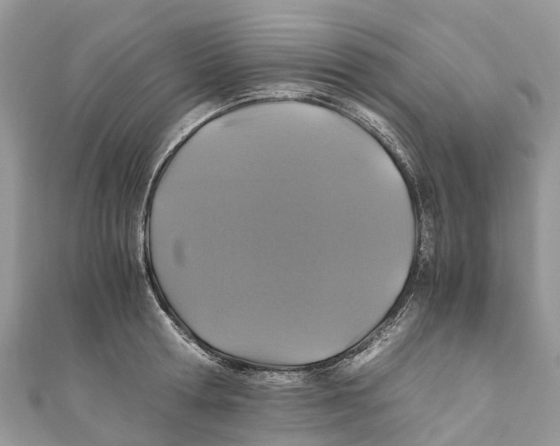 X0000110990802200907171751