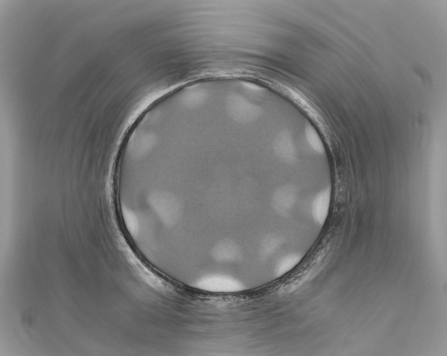 X0000110990803200907171751