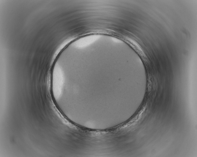X0000110990804200907171751