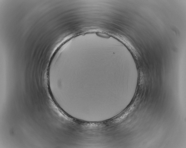 X0000110990806200907171751