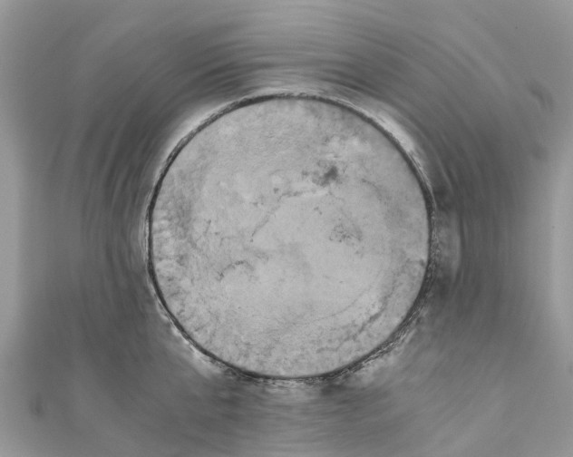X0000110990807200907171751