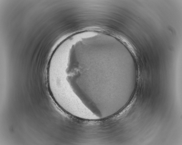 X0000110990808200907171751