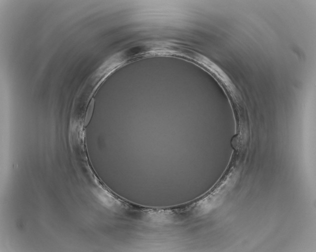 X0000110990809200907171751