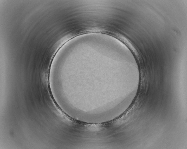 X0000110990810200907171751