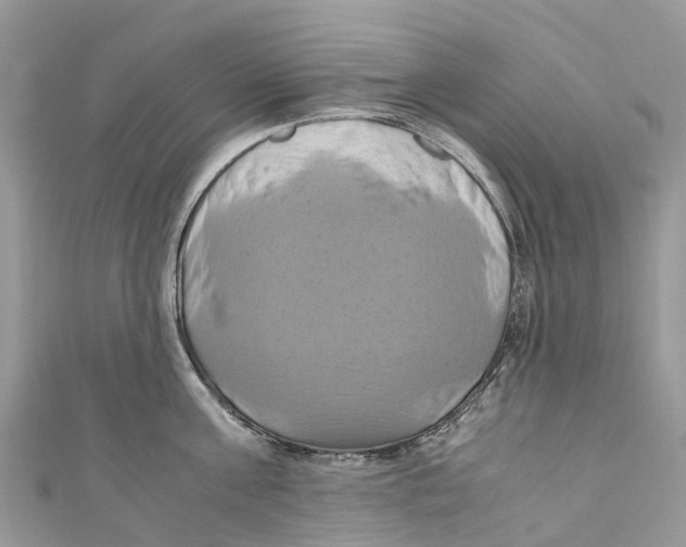 X0000110990811200907171751