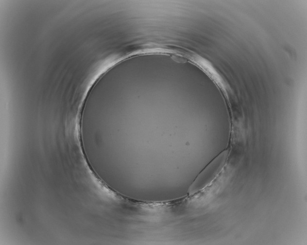X0000110990813200907171750