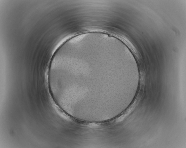 X0000110990814200907171750