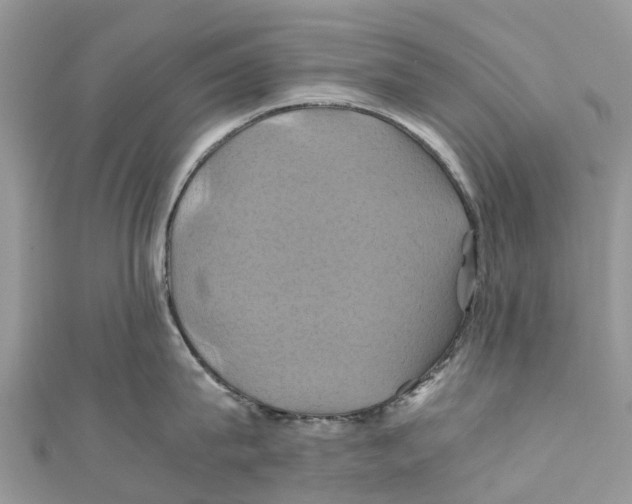 X0000110990815200907171750