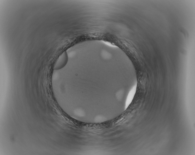 X0000110990817200907171750