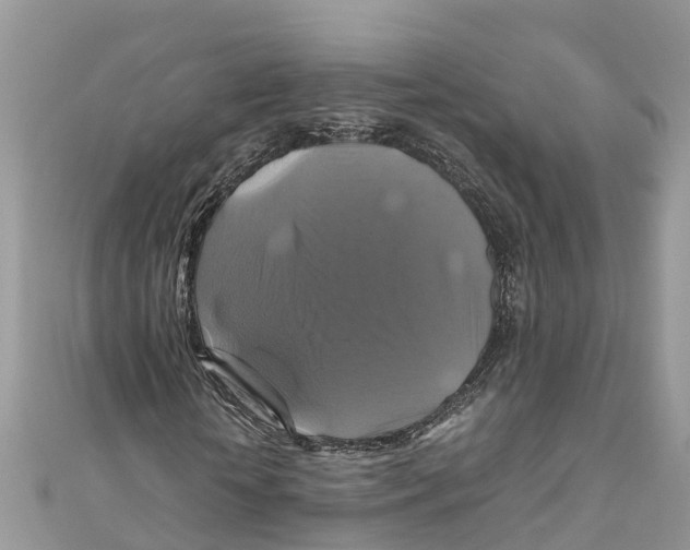 X0000110990818200907171750