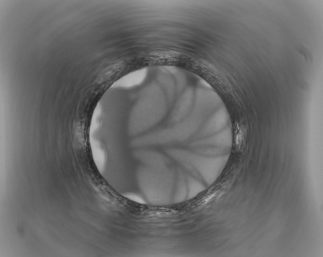 X0000110990819200907171750