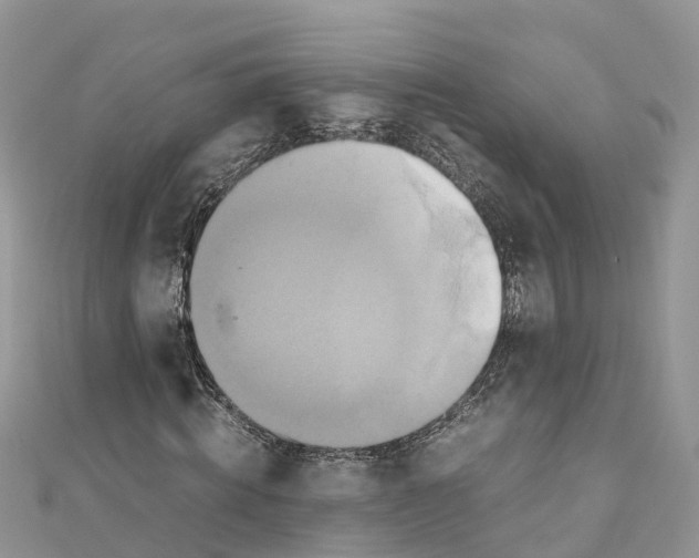 X0000110990820200907171750