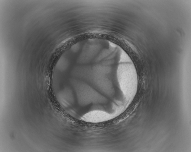 X0000110990821200907171750
