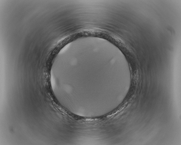 X0000110990822200907171750