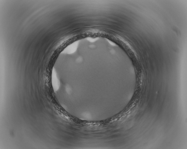X0000110990823200907171750