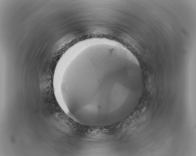 X0000110990824200907171750