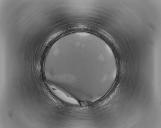 X0000110990826200907171750