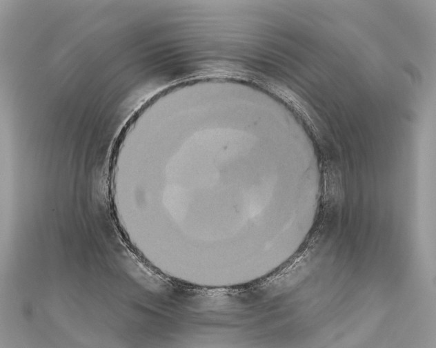 X0000110990828200907171750