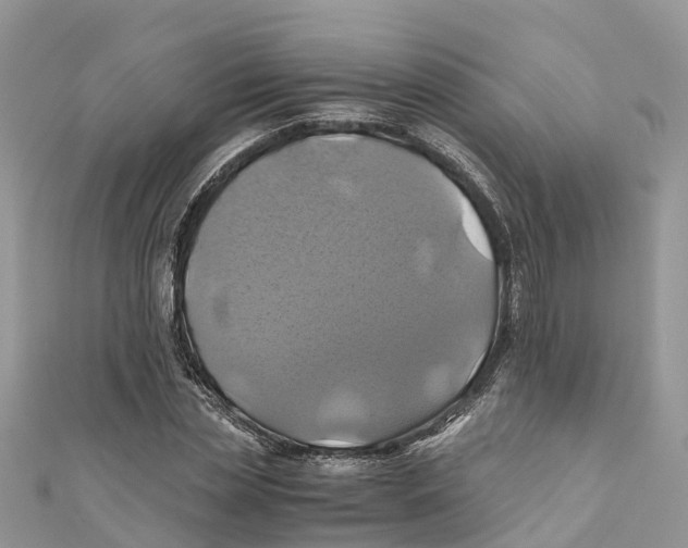 X0000110990829200907171750