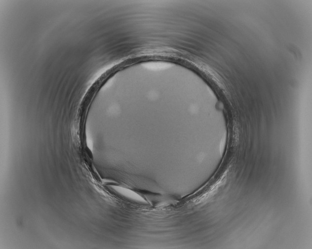 X0000110990830200907171750