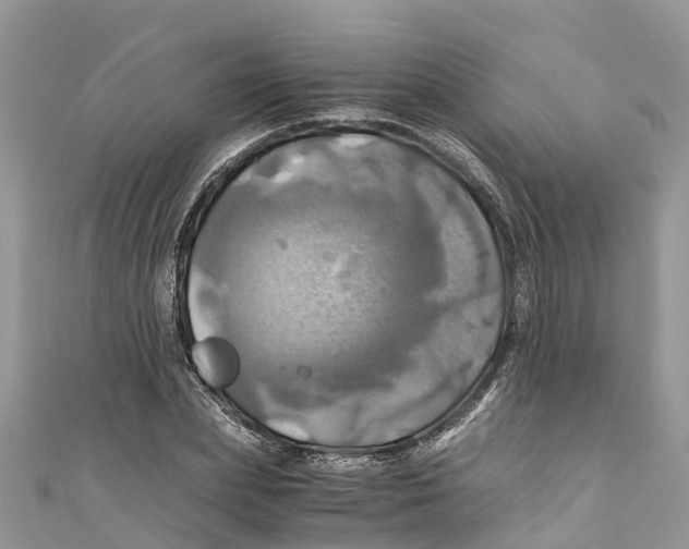 X0000110990831200907171750