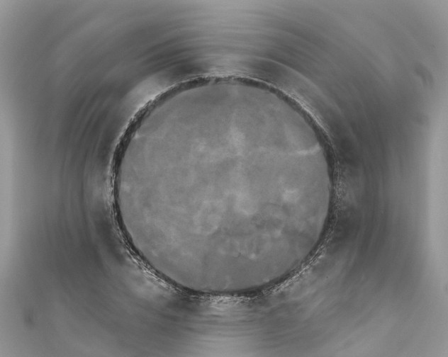 X0000110990832200907171750