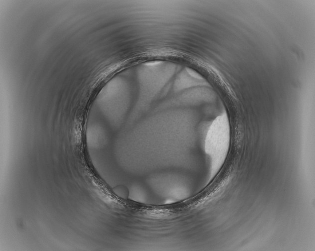 X0000110990833200907171750