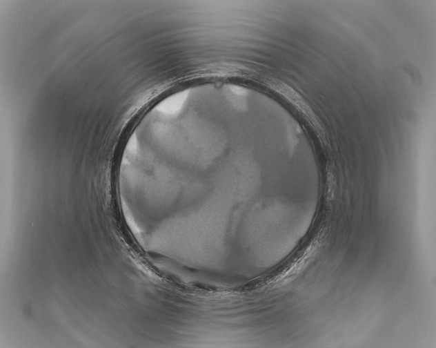 X0000110990834200907171750