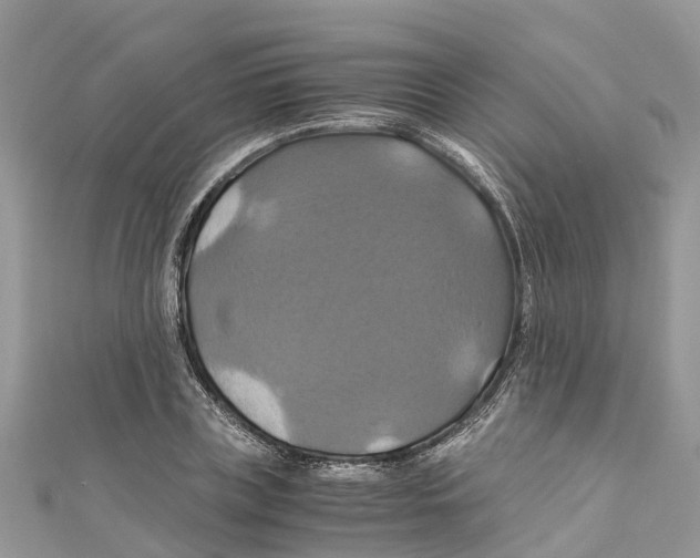 X0000110990835200907171750