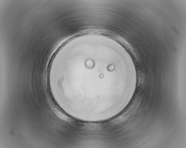 X0000110990836200907171750