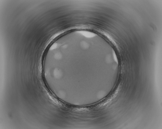X0000110990837200907171750