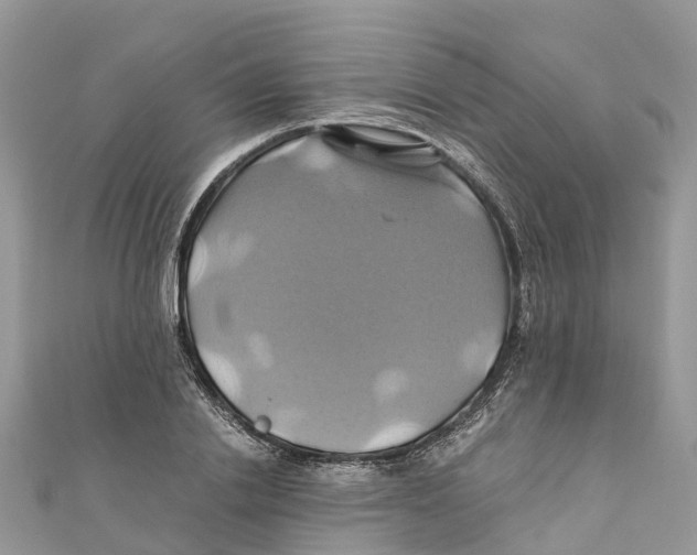 X0000110990838200907171750