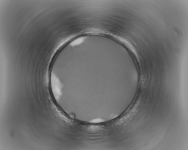 X0000110990839200907171750