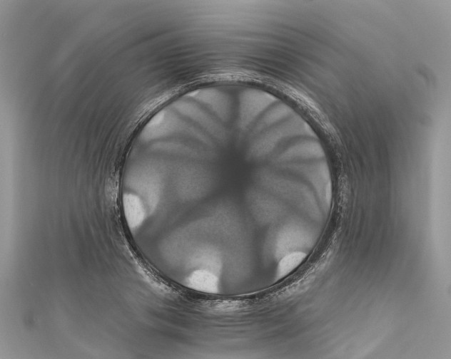 X0000110990841200907171750