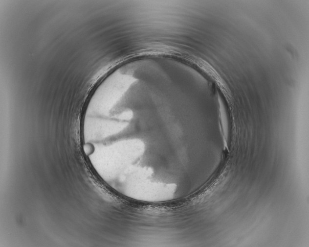 X0000110990842200907171750