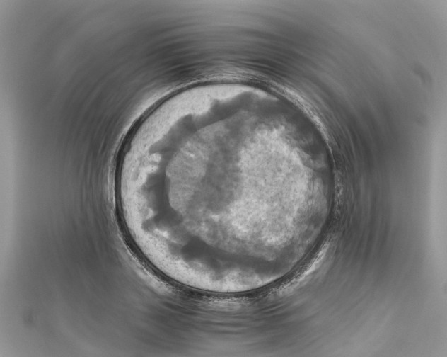 X0000110990843200907171750