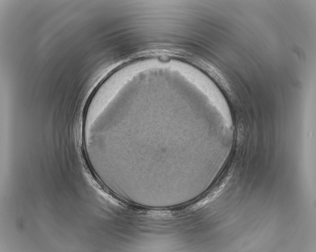 X0000110990844200907171750