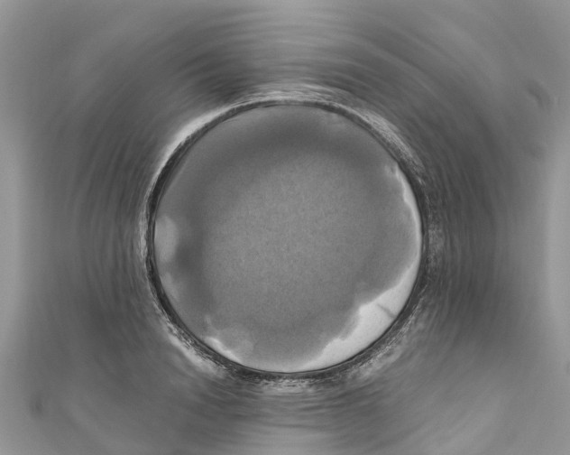 X0000110990846200907171750