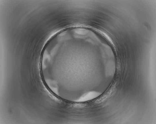 X0000110990847200907171750