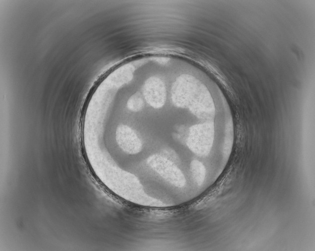 X0000110990848200907171750