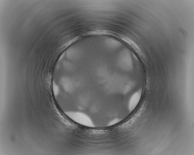X0000110990849200907171750