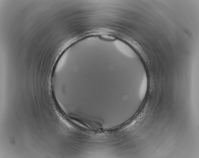 X0000110990850200907171750
