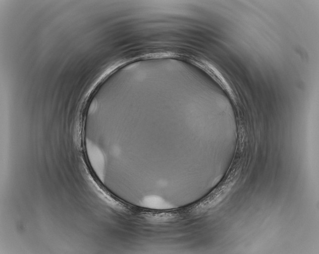 X0000110990851200907171750