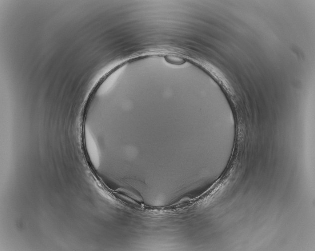 X0000110990854200907171750
